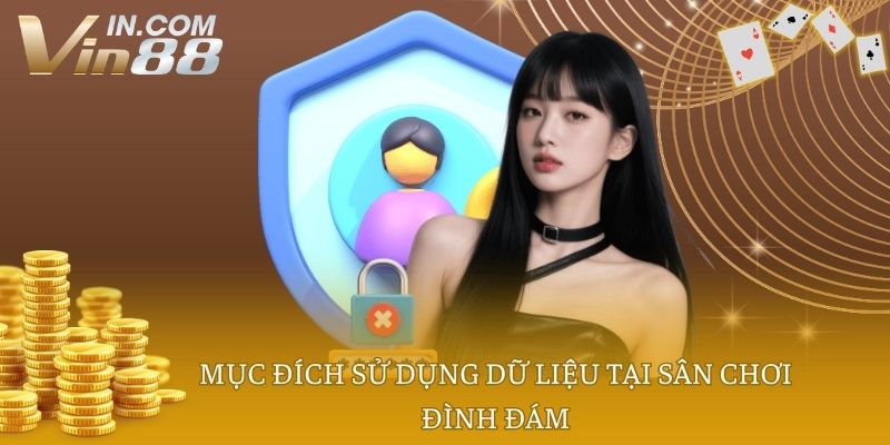 Mục đích sử dụng dữ liệu tại sân chơi đình đám