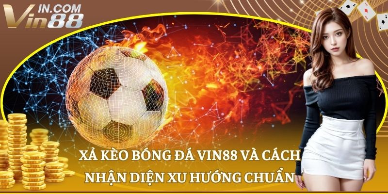 xả kèo bóng đá Vin88